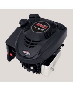 Moteur de tondeuse Briggs & Stratton 5 HP